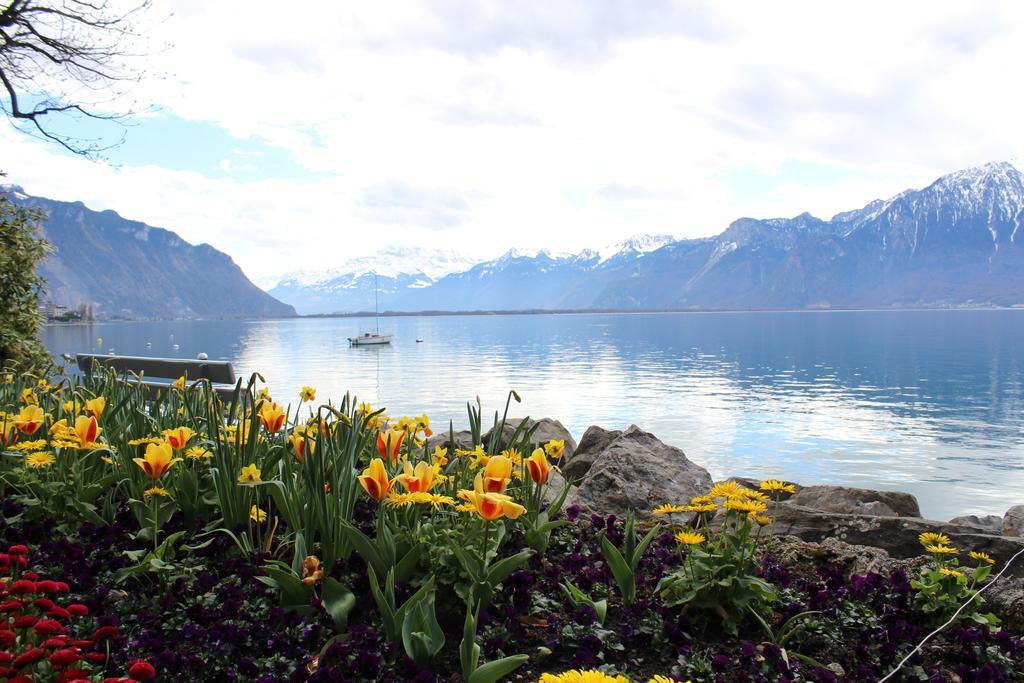 View And - Swiss